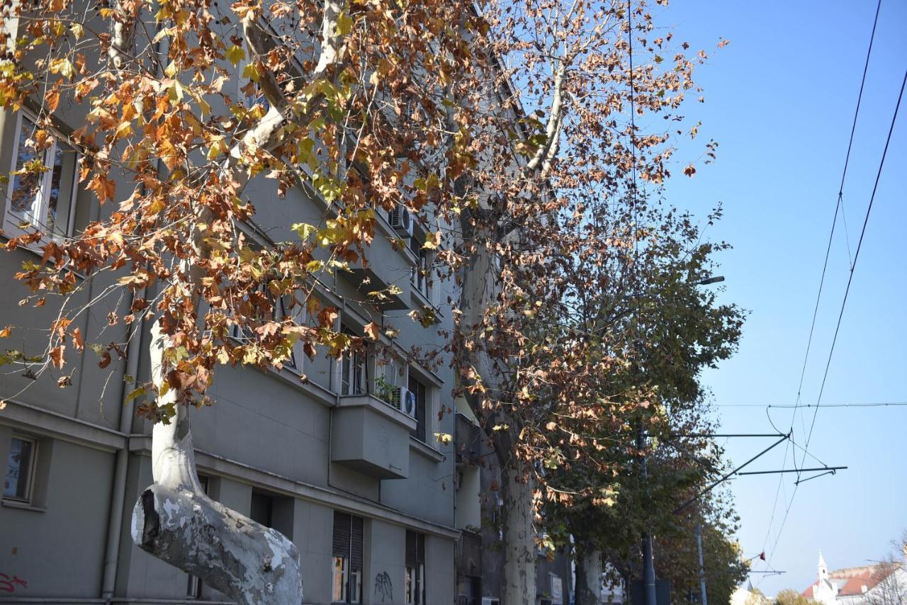 Friendly Home Apartment Belgrade Exterior photo